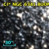 Cl* NGC 6341   BUON     503