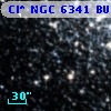 Cl* NGC 6341   BUON     529
