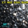 Cl* NGC 6341   BUON     462