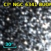 Cl* NGC 6341   BUON     197