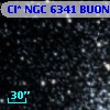 Cl* NGC 6341   BUON      79