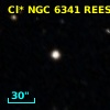 Cl* NGC 6341   REES      39