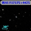 IRAS F17175+4425