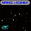 NPM1G +42.0464