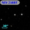 NSV 21607
