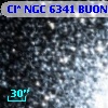 Cl* NGC 6341   BUON     171