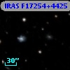 IRAS F17254+4425