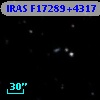 IRAS F17289+4317