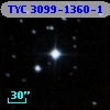 TYC 3099-1360-1