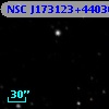 NSC J173123+440309