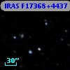 IRAS F17368+4437