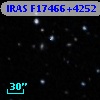 IRAS F17466+4252