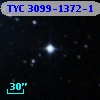TYC 3099-1372-1