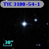 TYC 3100-54-1
