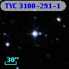 TYC 3100-291-1