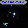 TYC 3100-747-1