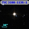 TYC 3100-1138-1
