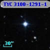 TYC 3100-1291-1