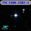 TYC 3100-1302-1