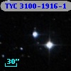 TYC 3100-1916-1