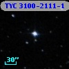 TYC 3100-2111-1