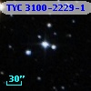TYC 3100-2229-1