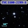 TYC 3100-2299-1