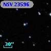 NSV 23596