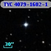 TYC 4079-1602-1