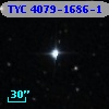 TYC 4079-1686-1