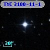 TYC 3100-11-1