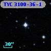 TYC 3100-36-1