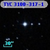 TYC 3100-317-1