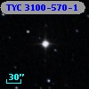TYC 3100-570-1