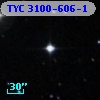 TYC 3100-606-1