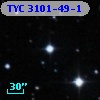 TYC 3101-49-1