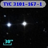 TYC 3101-167-1