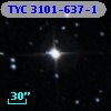 TYC 3101-637-1