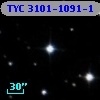 TYC 3101-1091-1