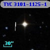 TYC 3101-1125-1