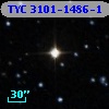 TYC 3101-1486-1