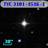 TYC 3101-1516-1