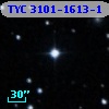 TYC 3101-1613-1