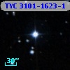 TYC 3101-1623-1