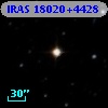 IRAS 18020+4428
