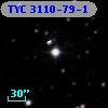 TYC 3110-79-1