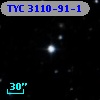 TYC 3110-91-1