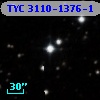 TYC 3110-1376-1