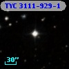 TYC 3111-929-1