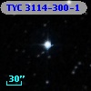 TYC 3114-300-1